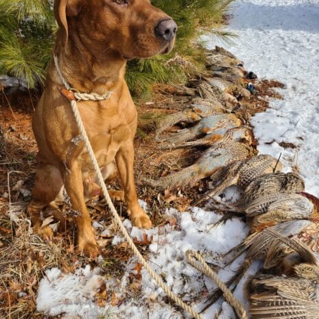 20250125_105514 20250125_105514