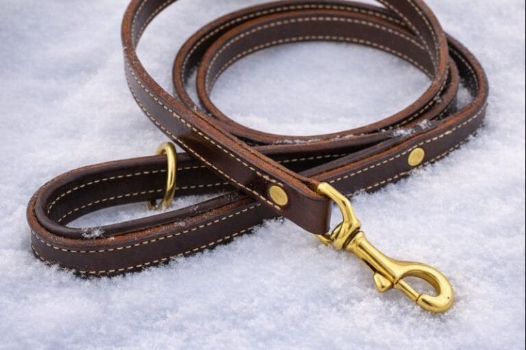 Leash in snow