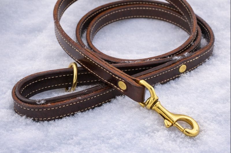 Leash in snow